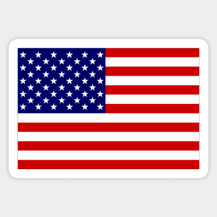 USA Sticker